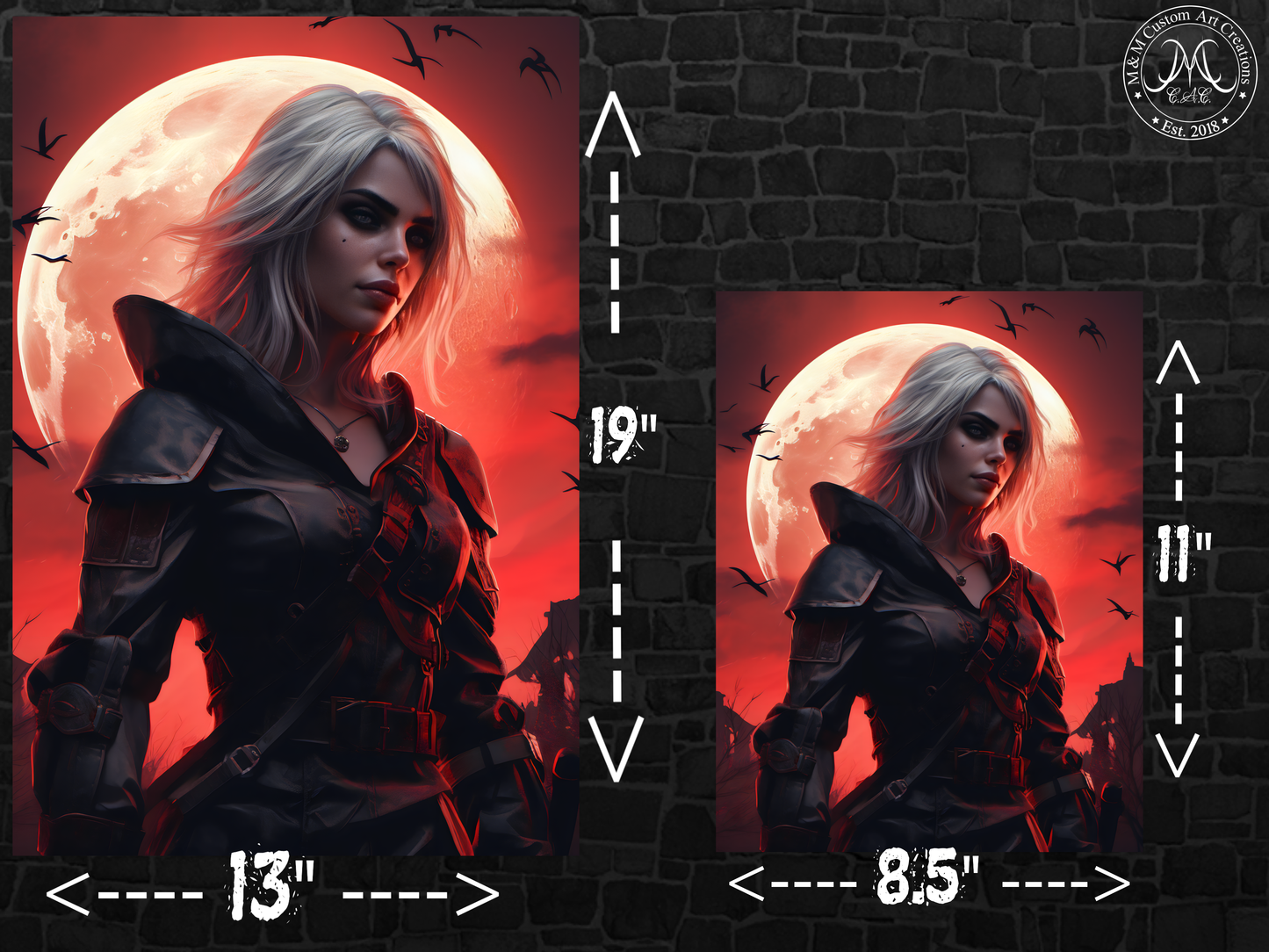 Ciri from the Witcher Poster Print | Princess Cirilla of Cintra| | 8.5x11 and 13x19