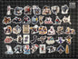 Ashe Overwatch 2 Hero Spray's Sticker Set | 39 High Quality Glossy Vinyls