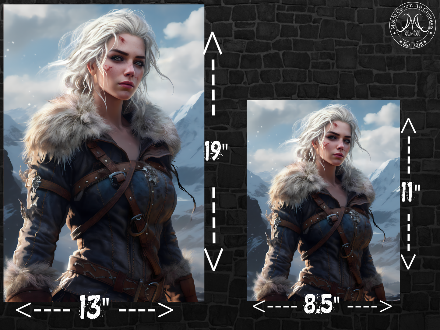 Ciri from the Witcher Poster Print | Princess Cirilla of Cintra| | 8.5x11 and 13x19